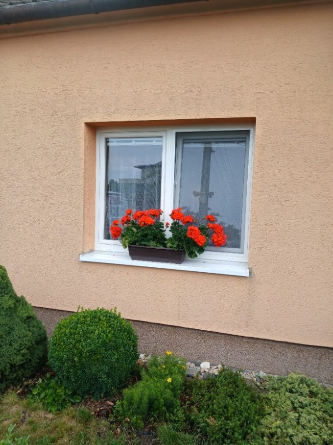 2 PVC-Fenster im REHAU SmartLine + Elegance Profil