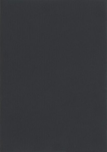 Anthrazit (REHAU 4443)
